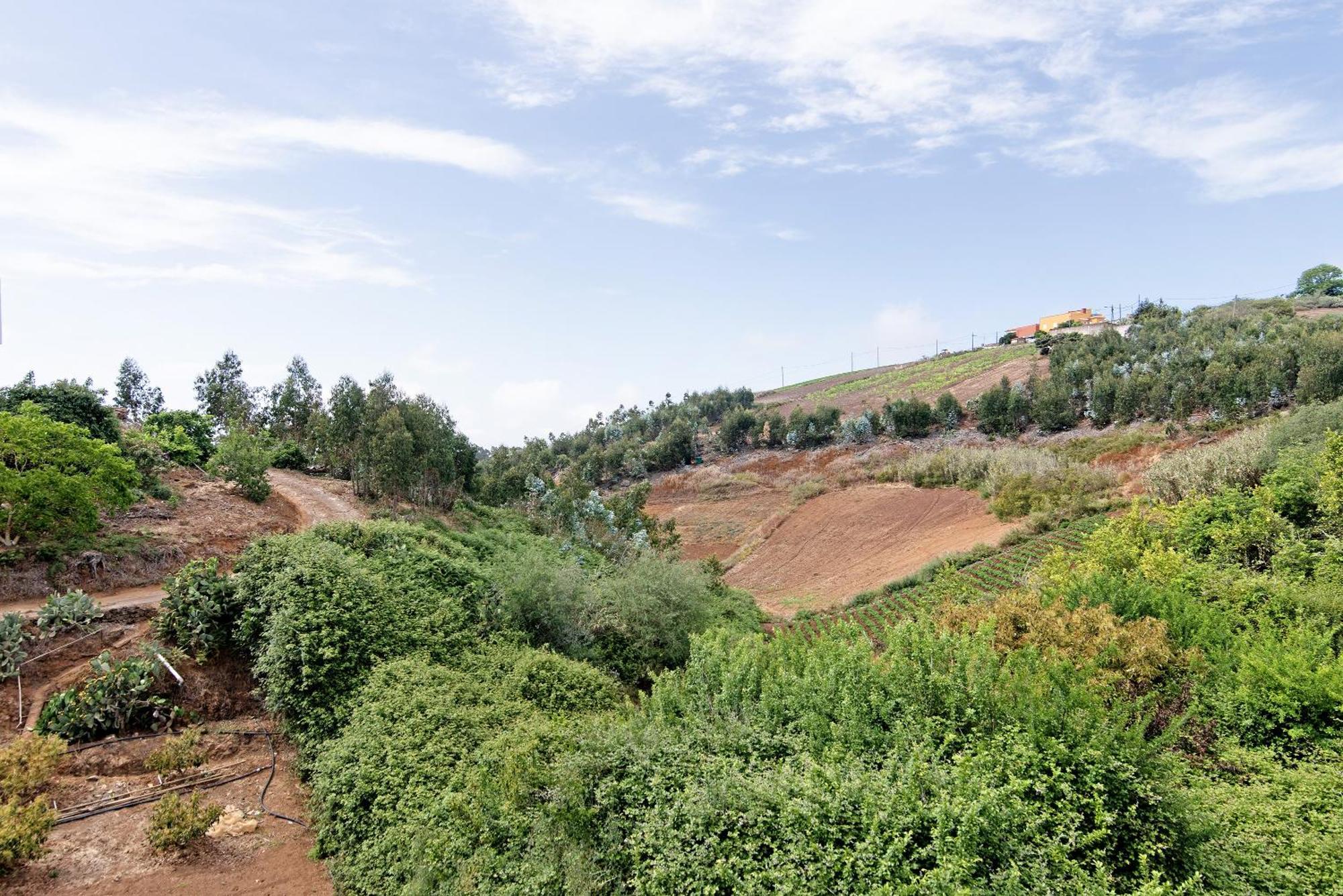 Vil·la Vv El Alpendre Moya (Gran Canaria)